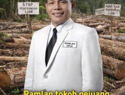 Hutan Meranti Terancam Habis, Ramlan CPLA Desak Kapolda Riau Bertindak Tegas