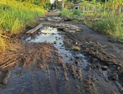 Potret Nestapa Jalan Mayau: Rusak Bertahun-tahun, Warga Desa Sendanul Darul Ihsan Berharap Perhatian Pemerintah .