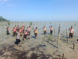 Green Policing di Rangsang Pesisir: Polres Meranti dan Pramuka Tanam Mangrove Cegah Abrasi